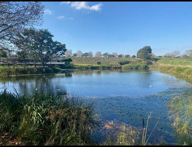 300HA VACANT LAND FOR SALE IN PIETERMARITZBURG RURAL